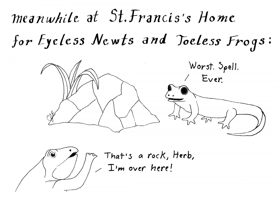cartoon of eyeless newt and toeless frog bemoaning the spells that caused them to be in such a condition